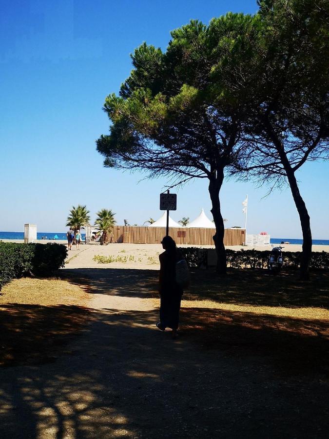 Charmant T2 Terrasse, Bord De Mer Argelès-sur-Mer Exterior foto